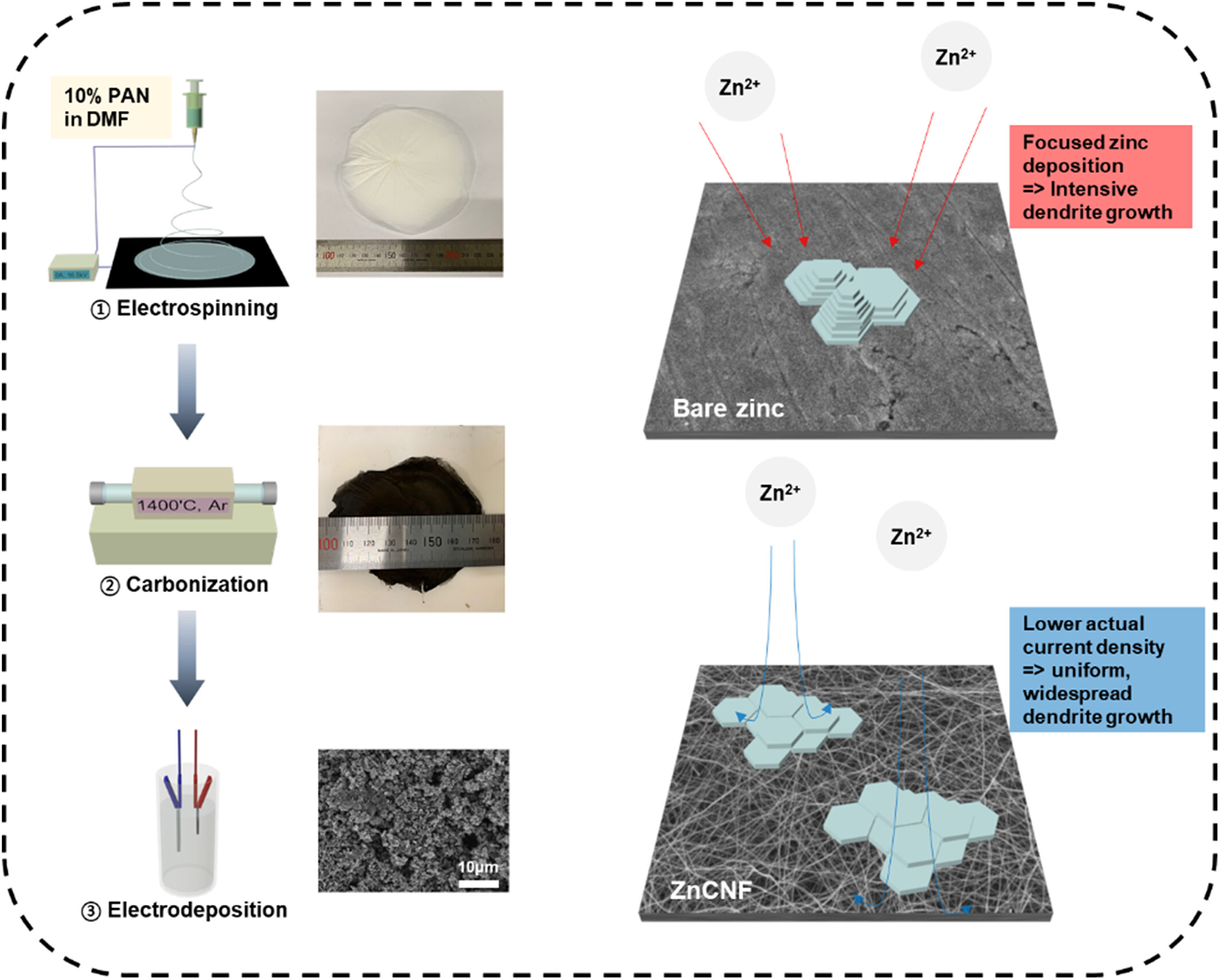 baek2022electrospun.jpg