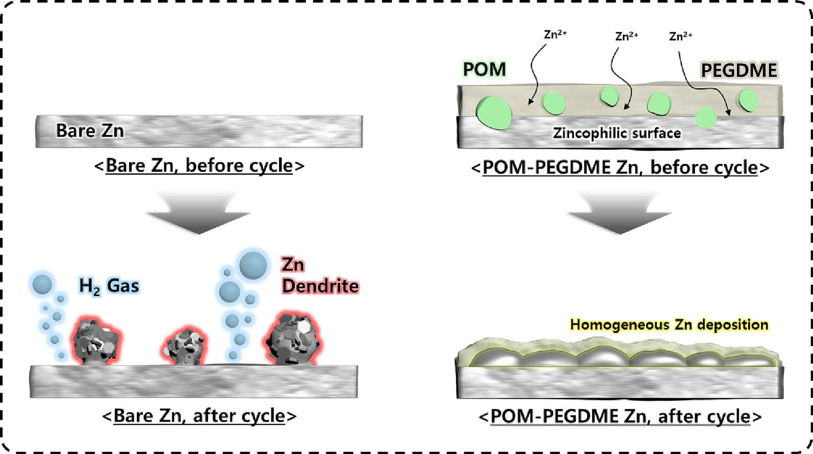 baek2023pom.jpg